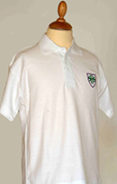 Secondary Polo Shirt